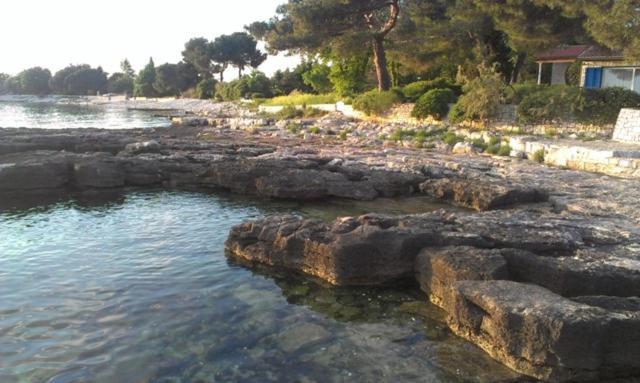 Apartment Ornela Umag Eksteriør billede